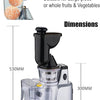 Cold Pressed Whole Slow Juicer Machine ©