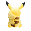 Pokemon Soft Plush
