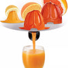 Moulinex - Citrus Juicer©