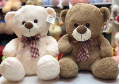 Love Combo Teddy Bear (40cm)