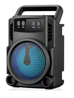 Professional Portable Speaker