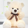Love Combo Teddy Bear (40cm)
