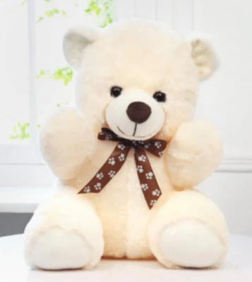 Love Combo Teddy Bear (40cm)
